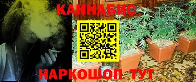 индика Канаш