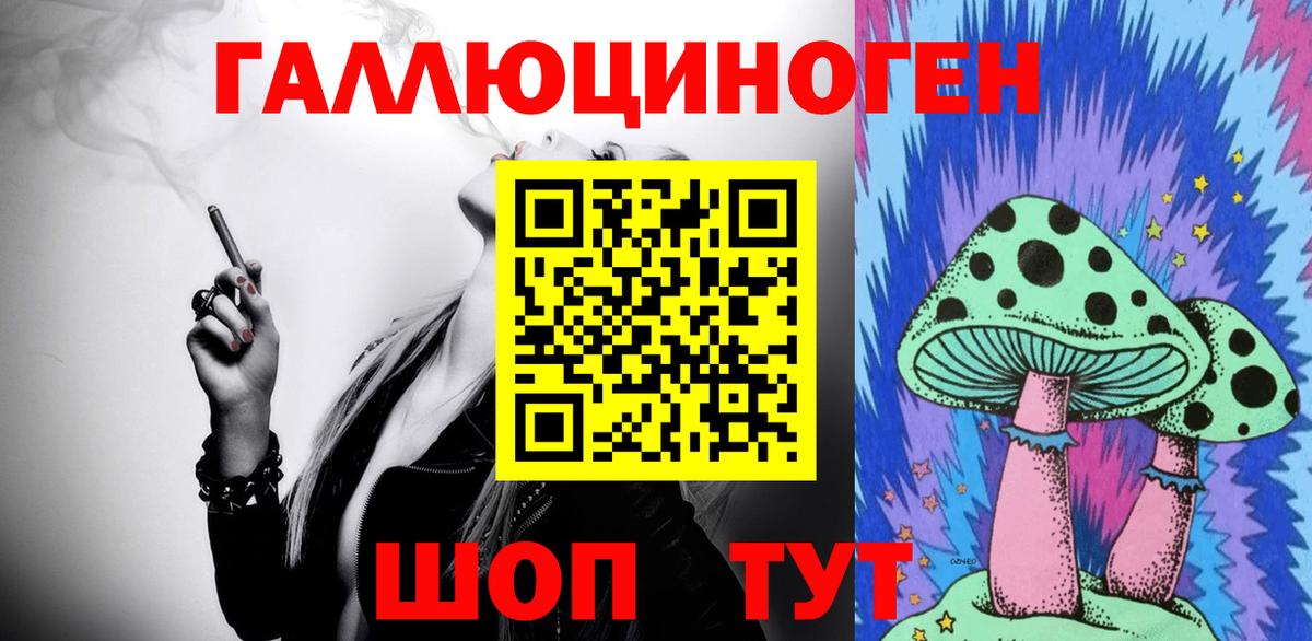 Псилоцибиновые грибы Cubensis Камышин