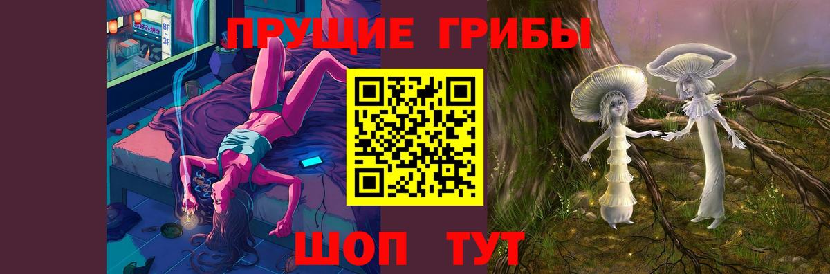купить  цена  Галлюциногенные грибы мухоморы  Вход с VPN  Камышин 